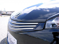 Решетка радиатора AMS для Toyota Wish 2009-