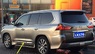 Хром молдинги на двери для Lexus LX570\450d 2015+